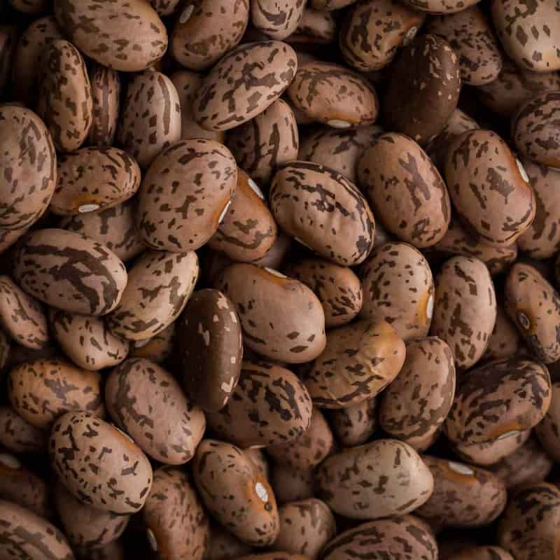 خرید لوبیا چیتی بهنام + قیمت فروش استثنایی